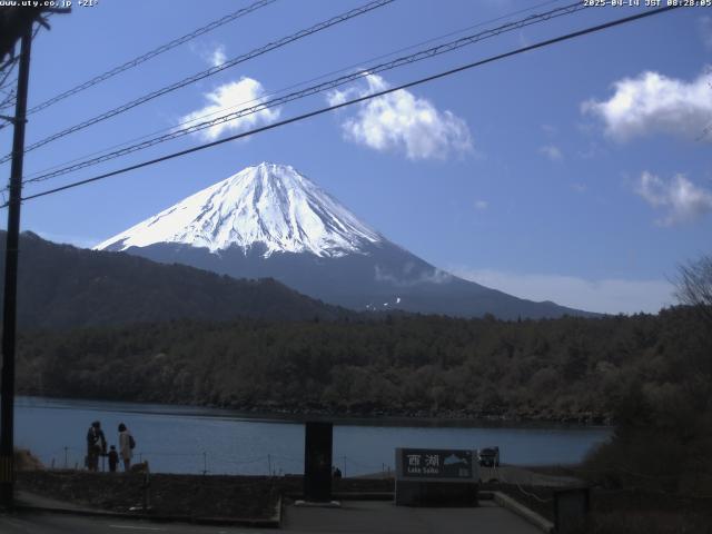 西湖からの富士山