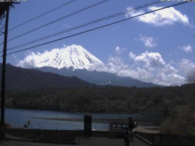 西湖からの富士山