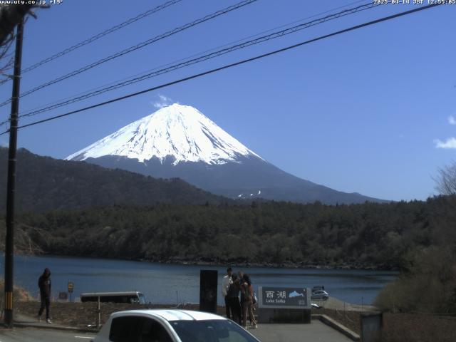 西湖からの富士山