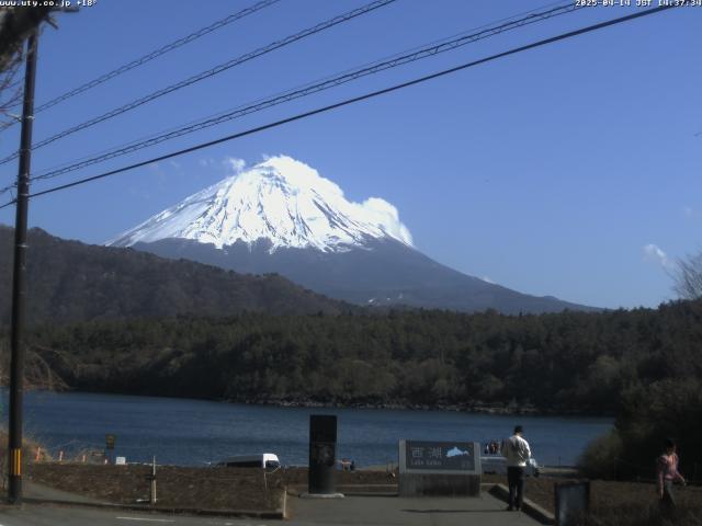 西湖からの富士山