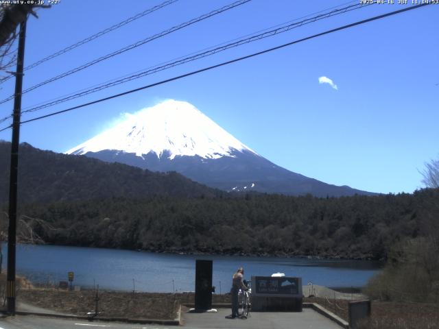 西湖からの富士山