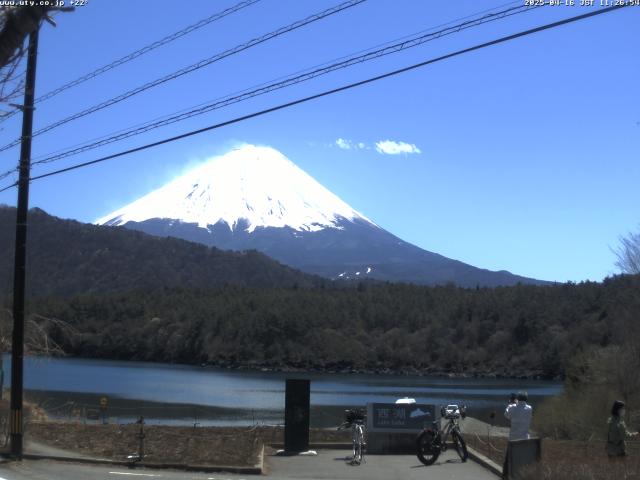 西湖からの富士山