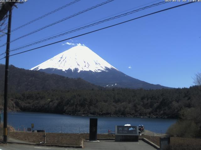 西湖からの富士山