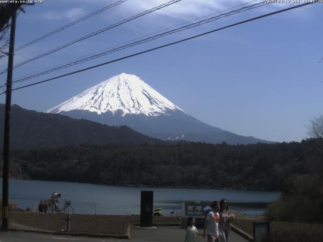 西湖からの富士山