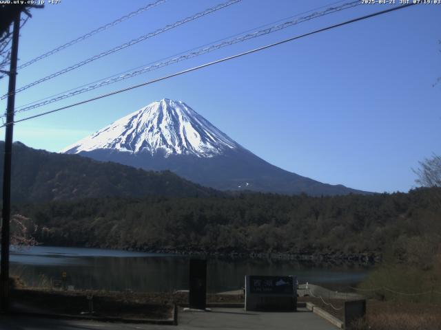 西湖からの富士山