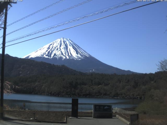 西湖からの富士山
