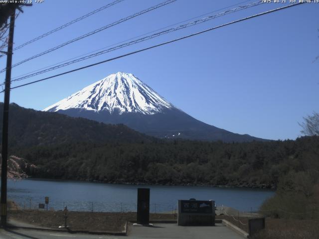 西湖からの富士山