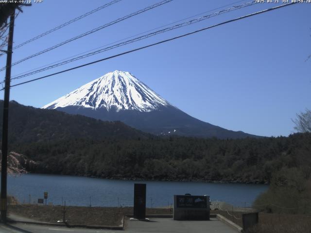 西湖からの富士山