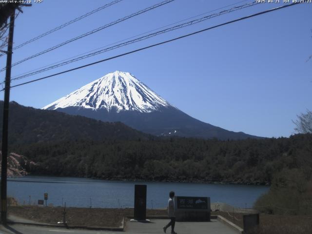 西湖からの富士山