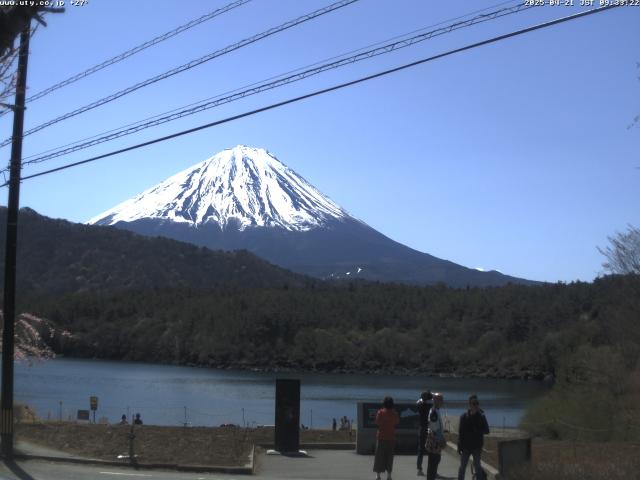 西湖からの富士山
