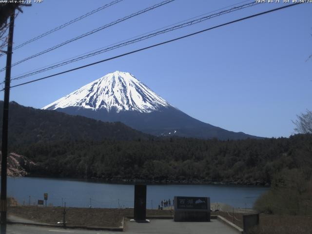 西湖からの富士山