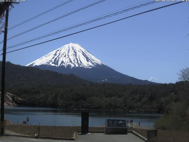 西湖からの富士山