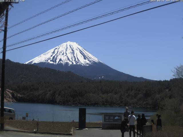 西湖からの富士山
