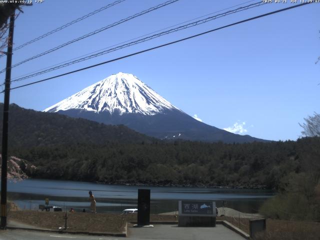 西湖からの富士山