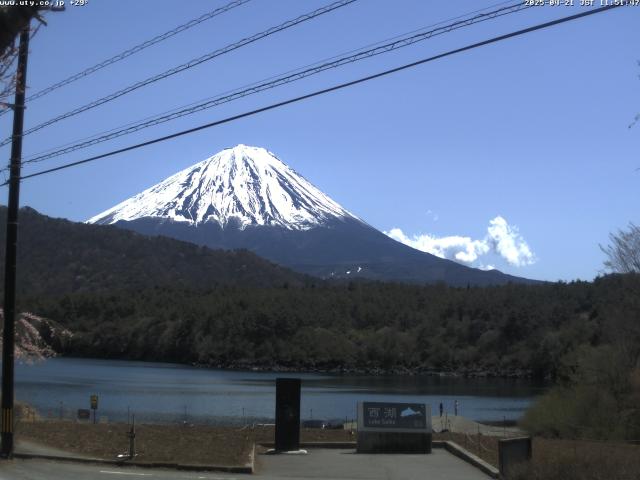 西湖からの富士山