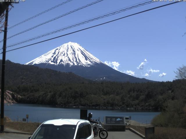 西湖からの富士山