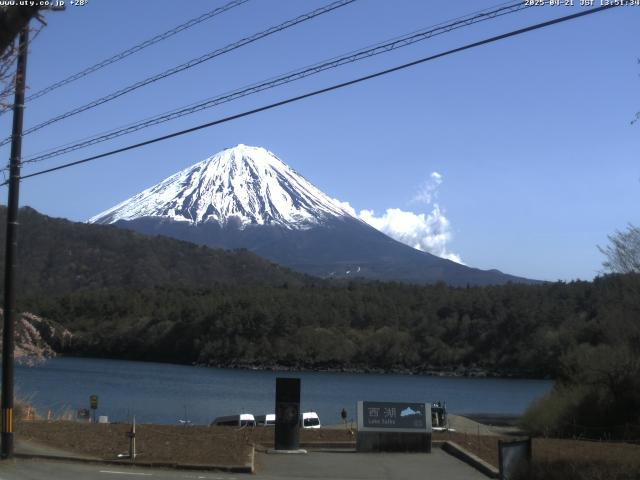 西湖からの富士山