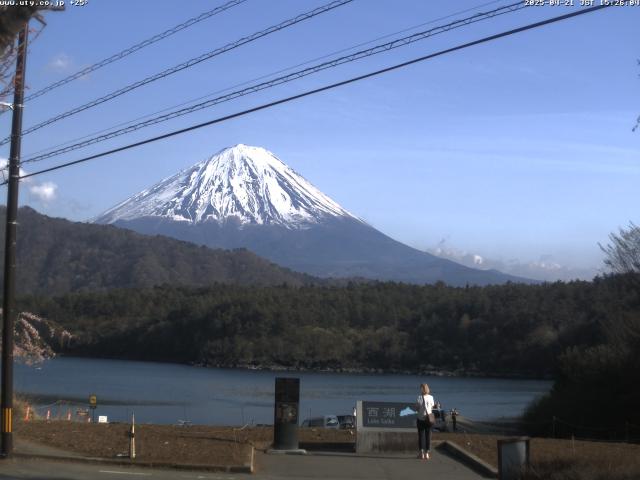 西湖からの富士山