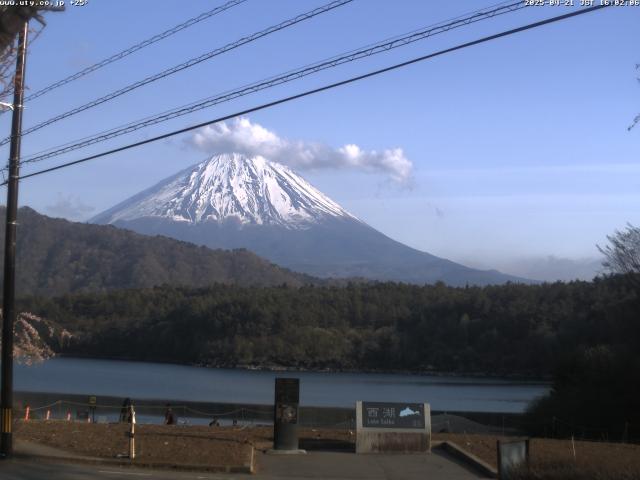 西湖からの富士山