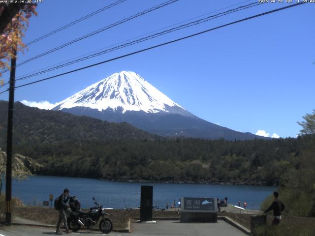 西湖からの富士山