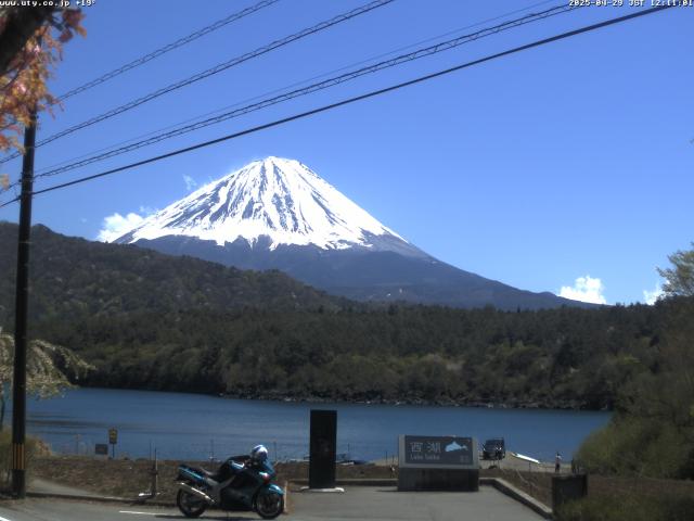 西湖からの富士山