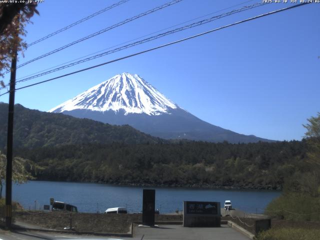 西湖からの富士山