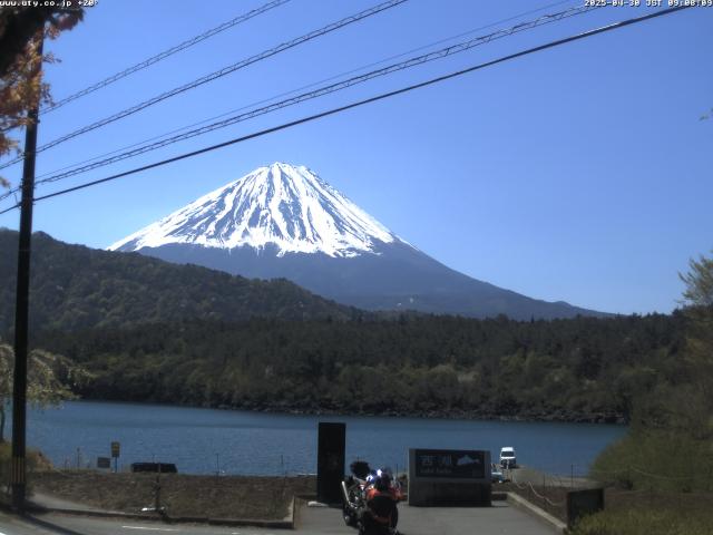 西湖からの富士山