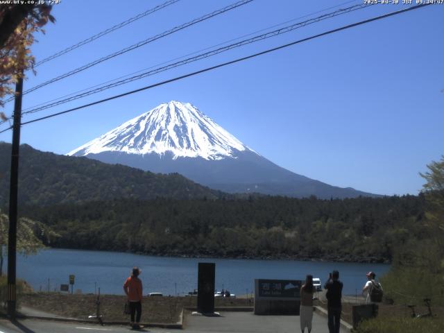 西湖からの富士山