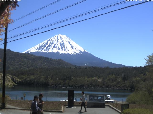西湖からの富士山