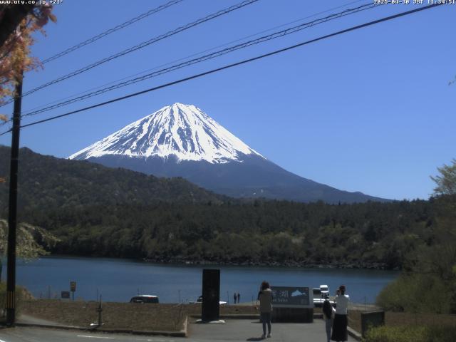 西湖からの富士山