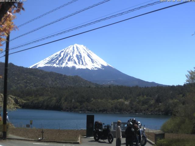 西湖からの富士山