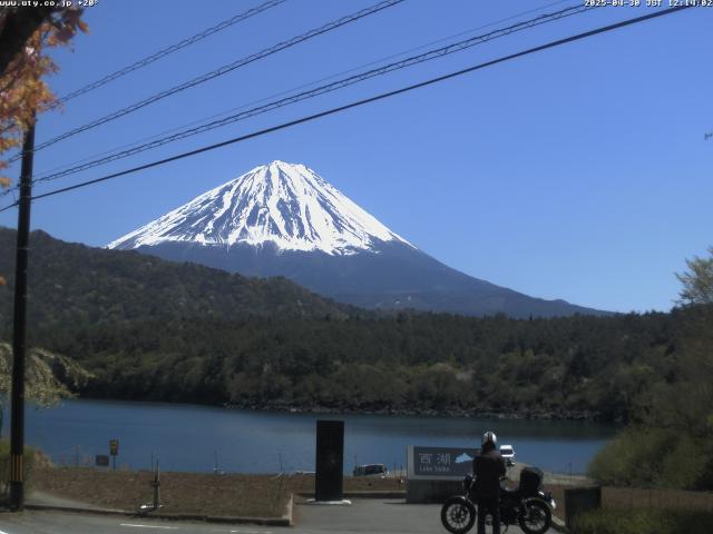 西湖からの富士山