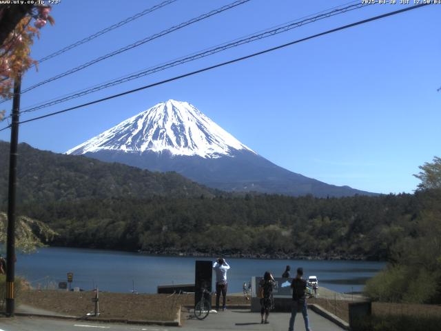 西湖からの富士山