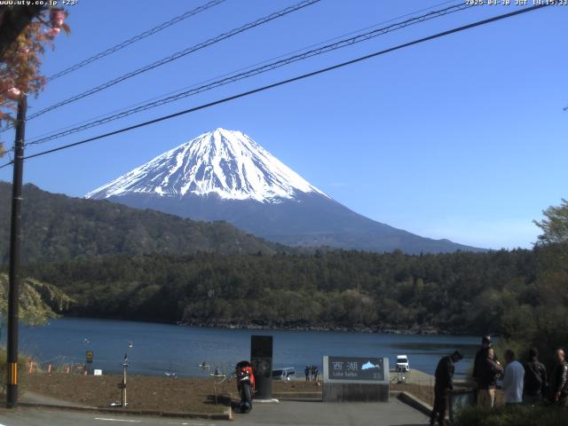 西湖からの富士山