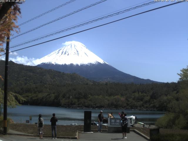 西湖からの富士山