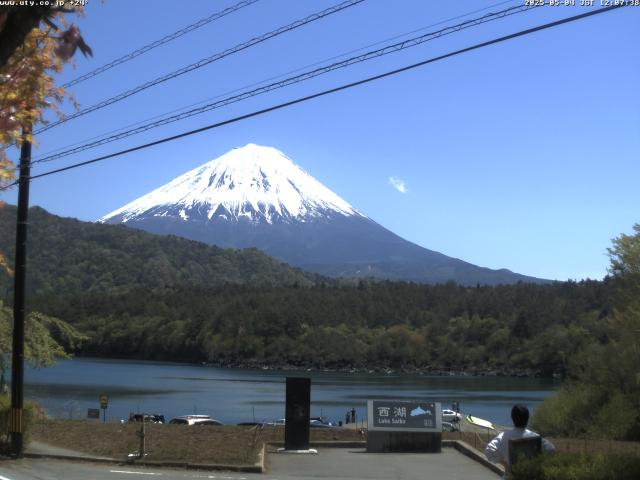 西湖からの富士山