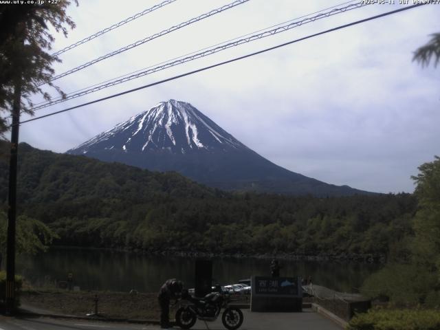 西湖からの富士山