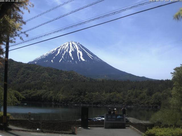 西湖からの富士山