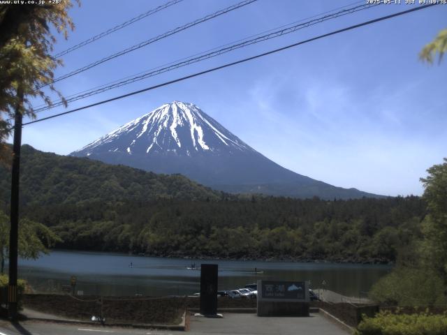 西湖からの富士山