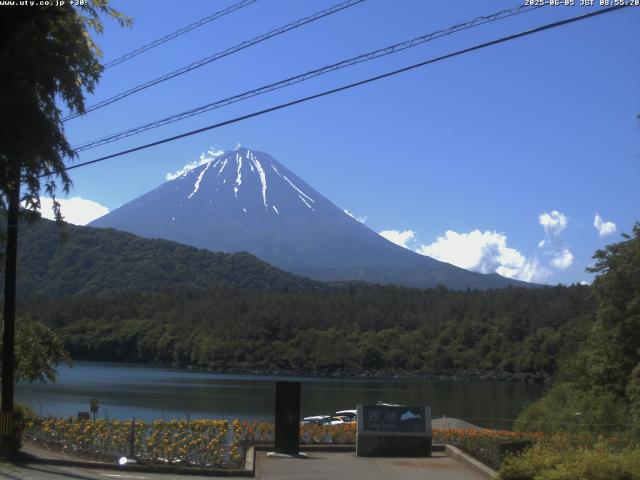 西湖からの富士山