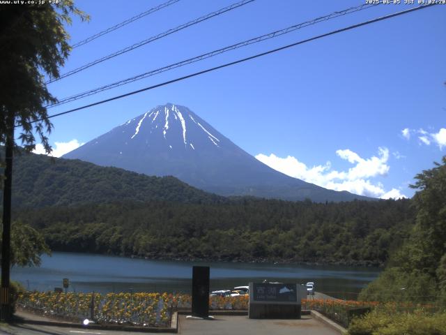 西湖からの富士山