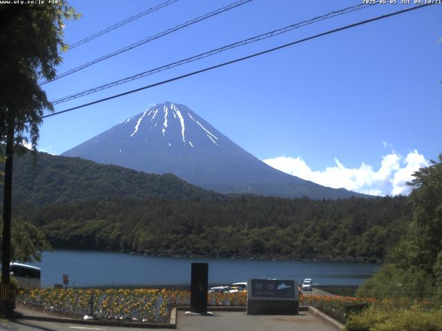 西湖からの富士山