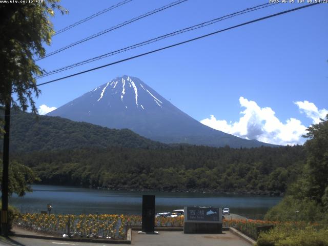 西湖からの富士山