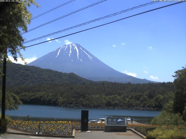 西湖からの富士山