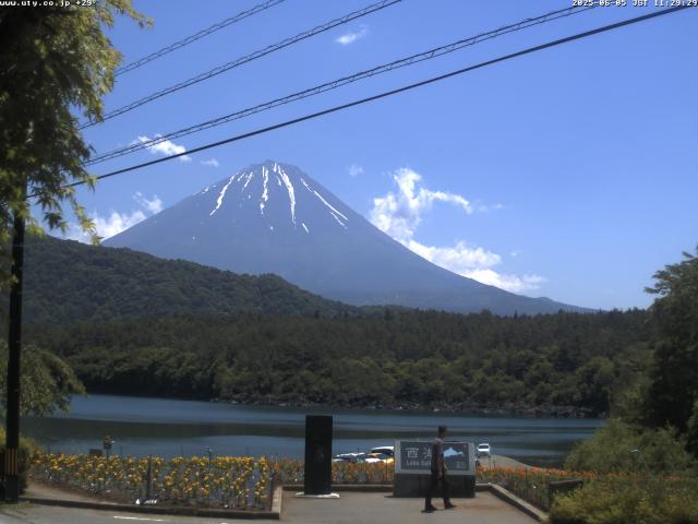西湖からの富士山