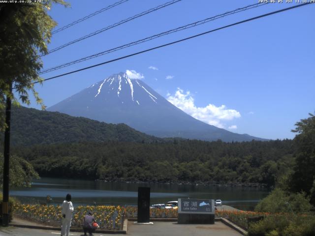 西湖からの富士山