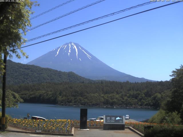 西湖からの富士山