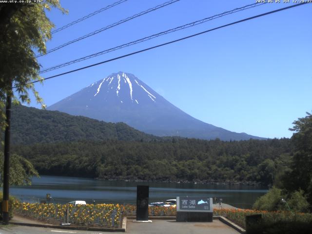 西湖からの富士山