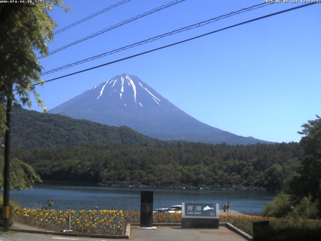 西湖からの富士山