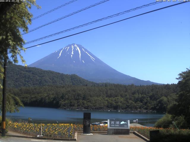 西湖からの富士山